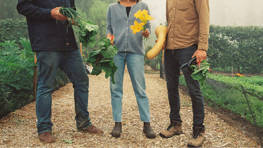 How a New  Food System Can Heal Us and The Planet