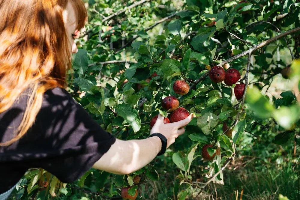 32 Habit Resets That Make Us Happy