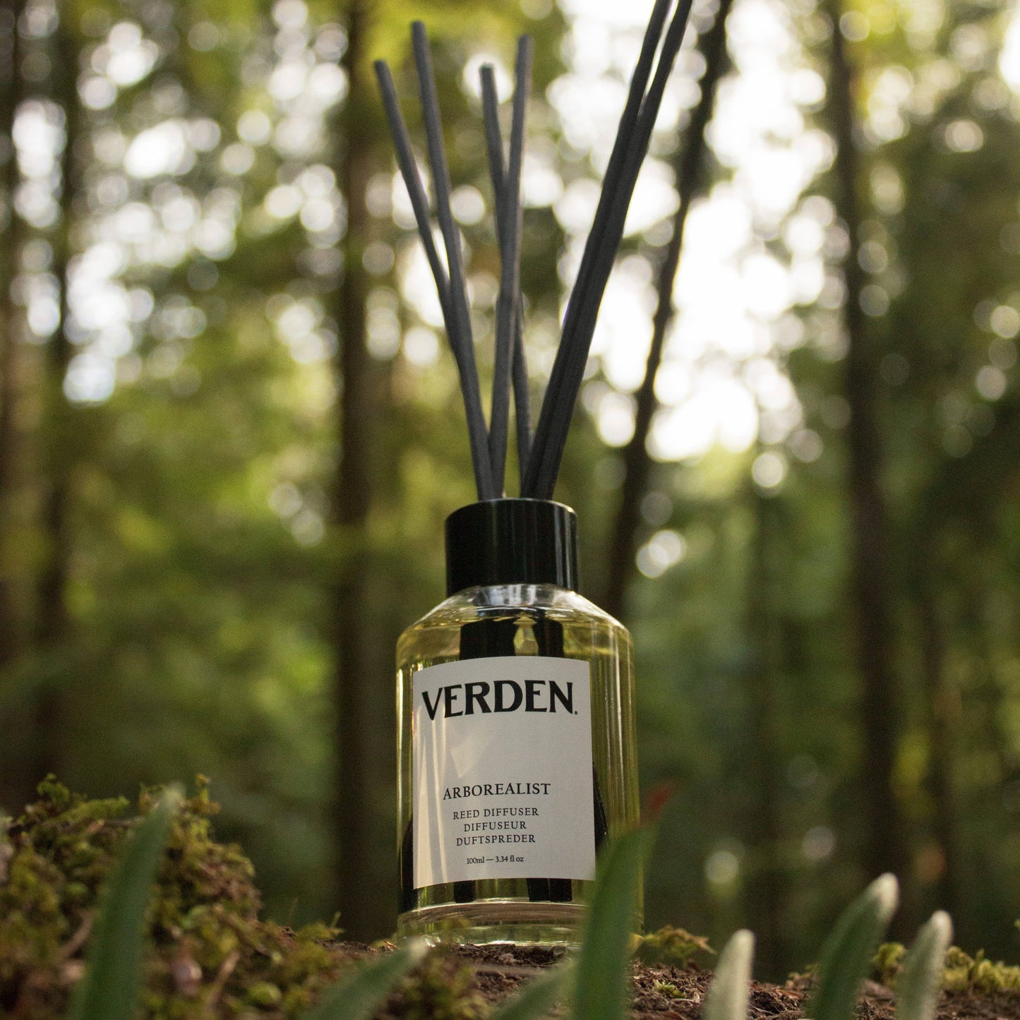 Arborealist Reed Diffuser 100ml