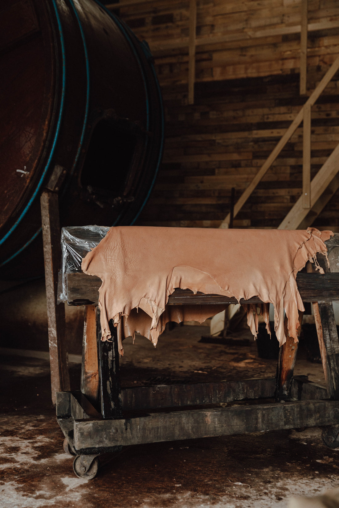 Image created by Photography credit: Steve Turvey