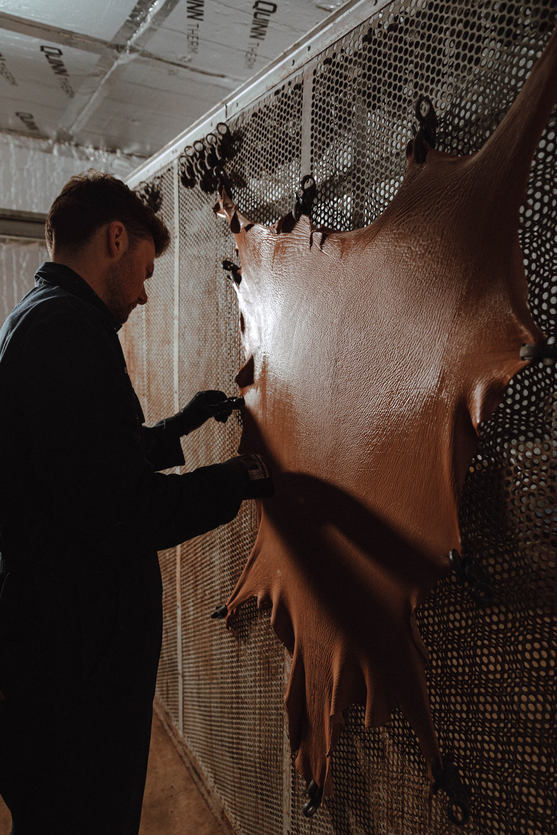 Image created by Photography credit: Steve Turvey