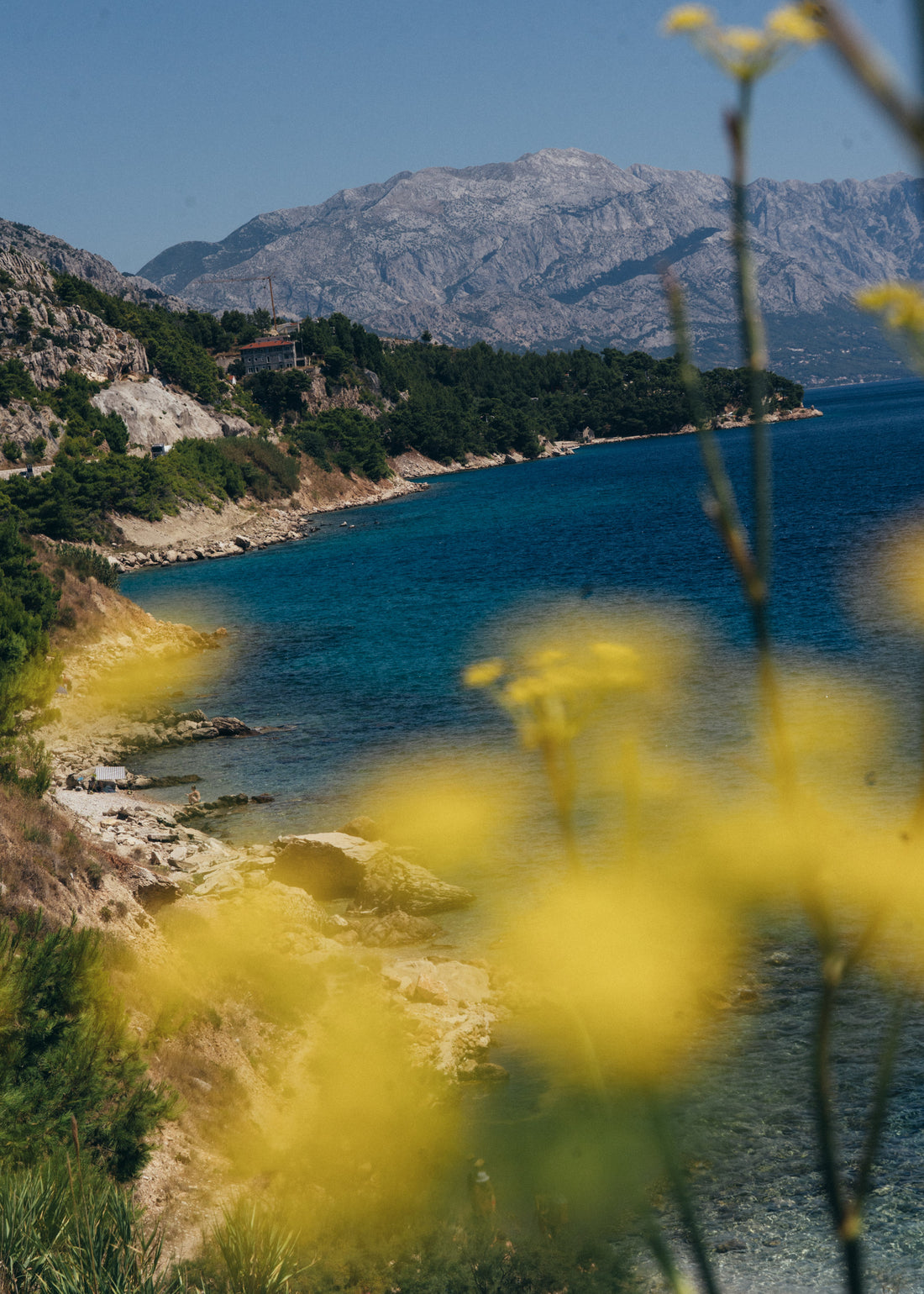 Image created by Photography credit: Marco Arguello