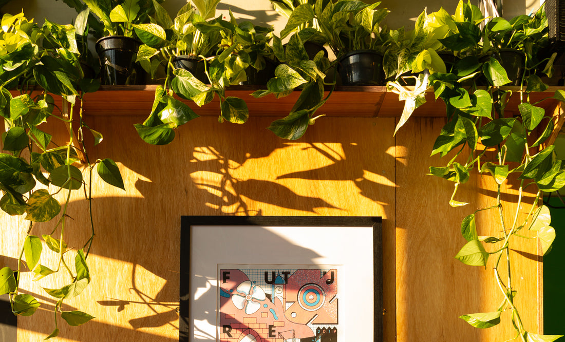 Image created by Photography credit: Robin Clewley