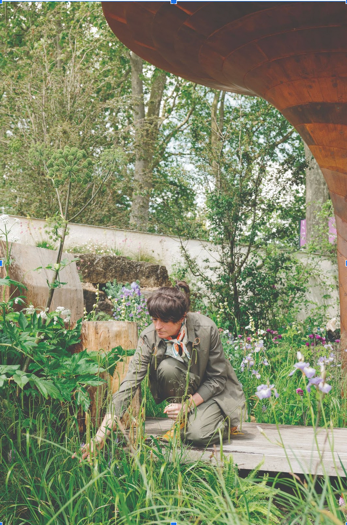 Image created by Mad About Land