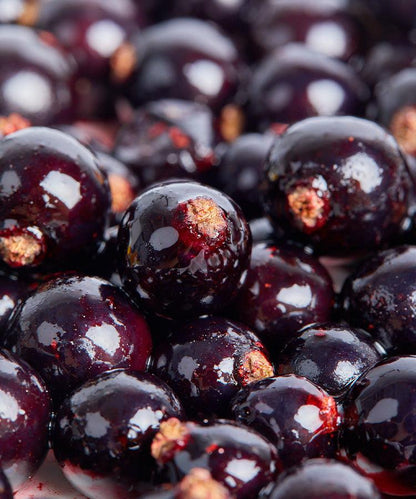 Single Variety Co Ben Tirran Blackcurrant Preserve, shown from a different angle.