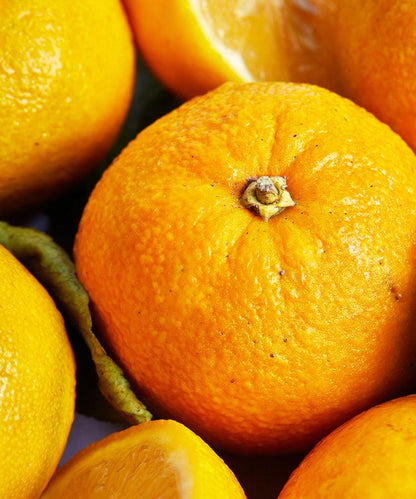 Single Variety Co Seville Orange Marmalade, shown from a different angle.