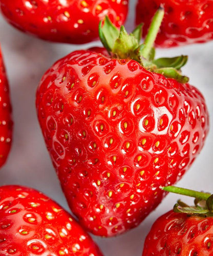 Single Variety Co Sonata Strawberry Preserve, close-up detail shot.