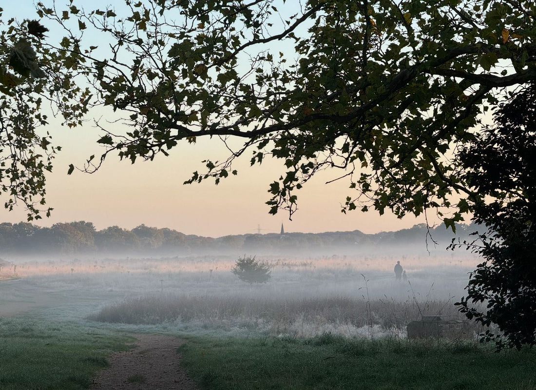 Image created by Wanstead Flats