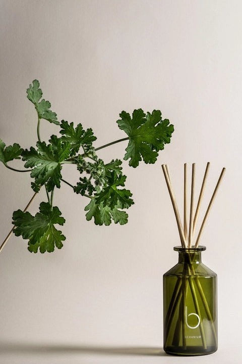 bamford Geranium diffuser in a green glass bottle with wooden reeds next to a fresh geranium plant sprig