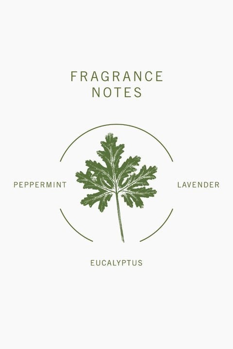 bamford Geranium Hand and Body Wash fragrance notes graphic featuring a green leaf illustration and scent labels