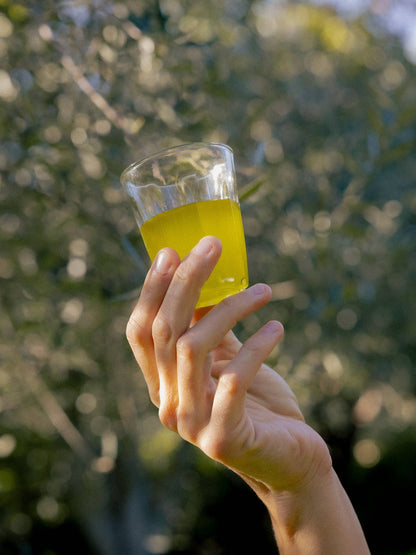Honest Toil UK extra virgin olive oil in a small glass held up to the sunlight against an olive grove background