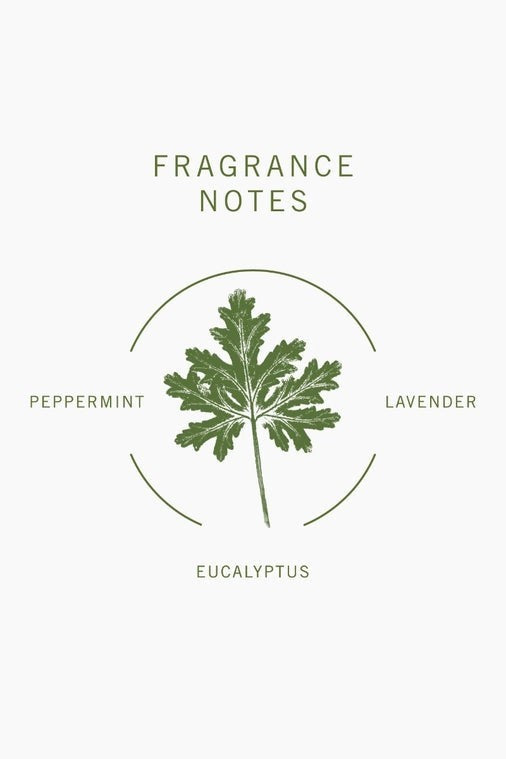 Bamford Geranium Shampoo fragrance notes graphic featuring a botanical illustration of a geranium leaf with herbal text