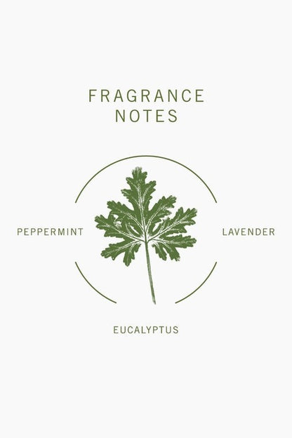 Bamford Geranium Shampoo fragrance notes graphic featuring a botanical illustration of a geranium leaf with herbal text