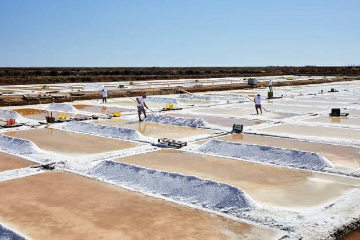 Steenbergs hand-harvested sea salt being collected from traditional salt pans in the Algarve, Portugal
