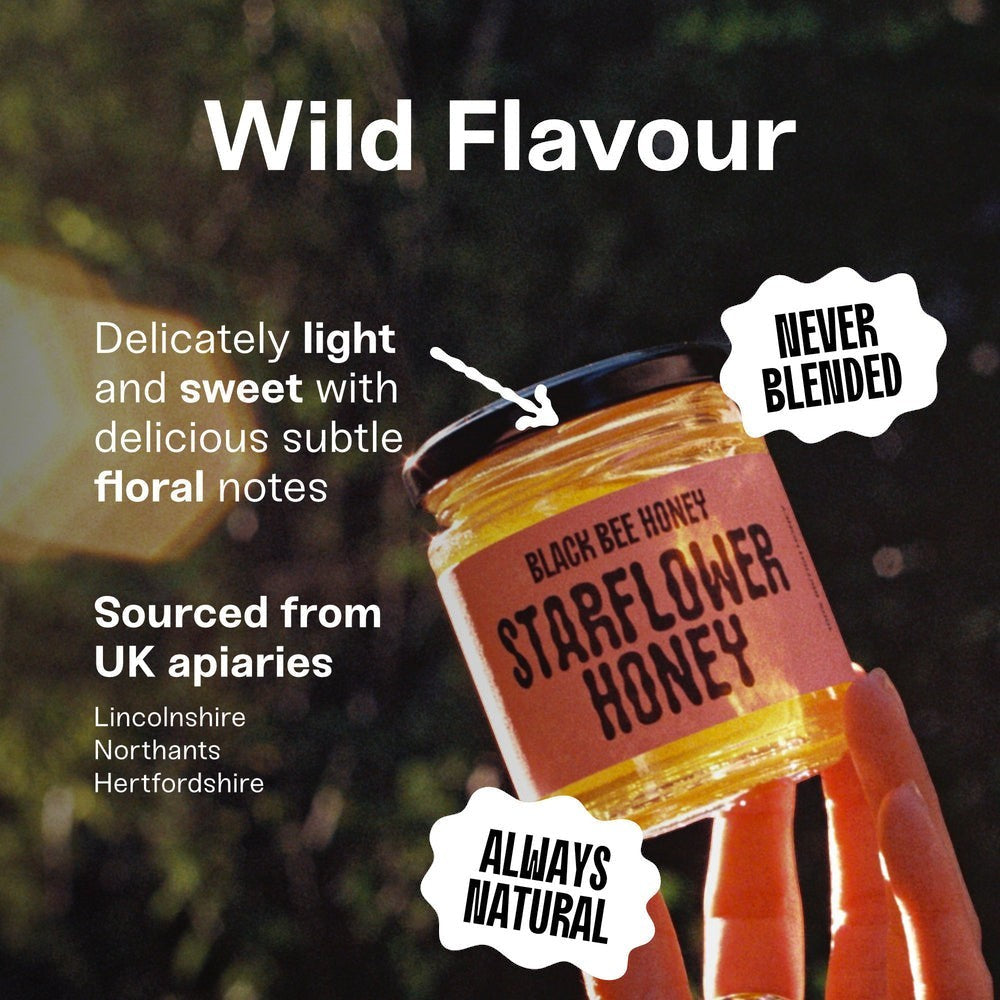 Black Bee Honey Raw Starflower Honey jar held in hand with light golden texture and floral flavour description