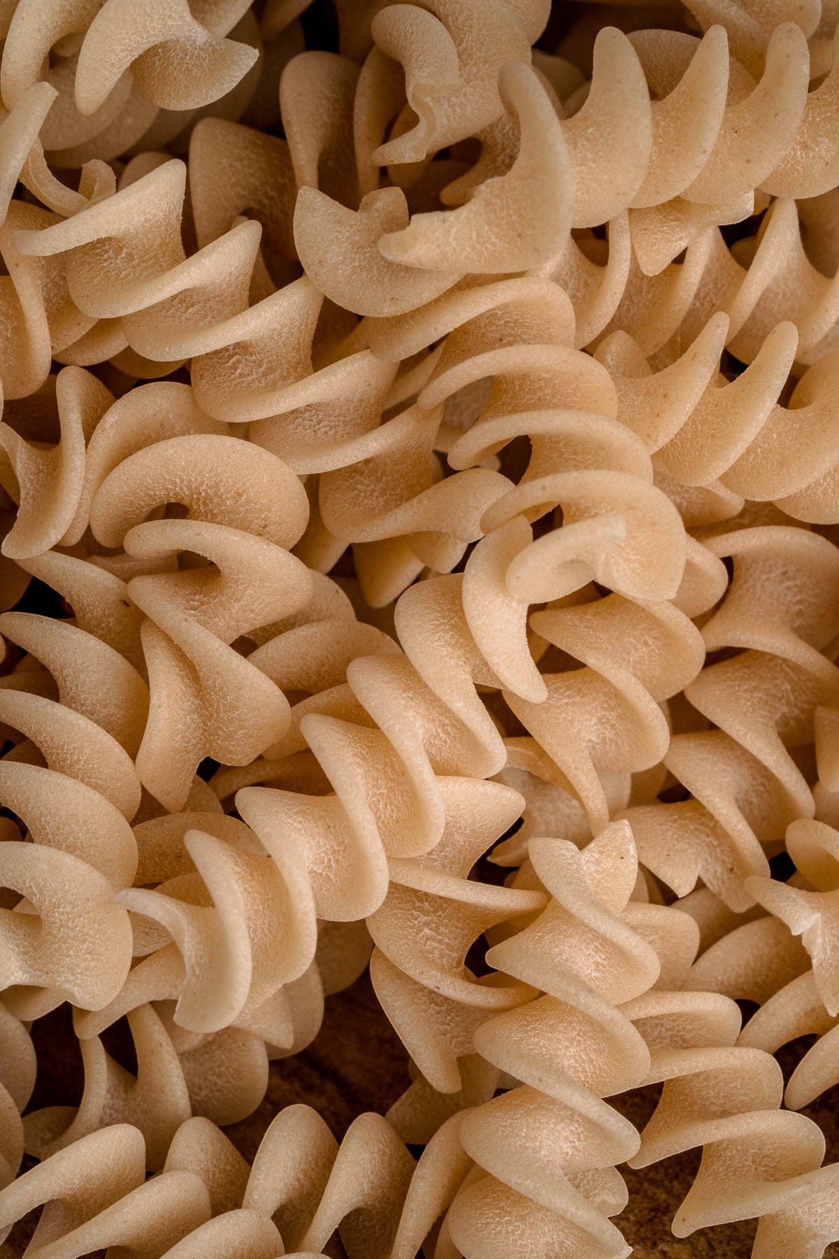 Northern Pasta Co. bronze-die extruded spelt and wheat fusilli pasta spirals with a textured surface for holding sauces