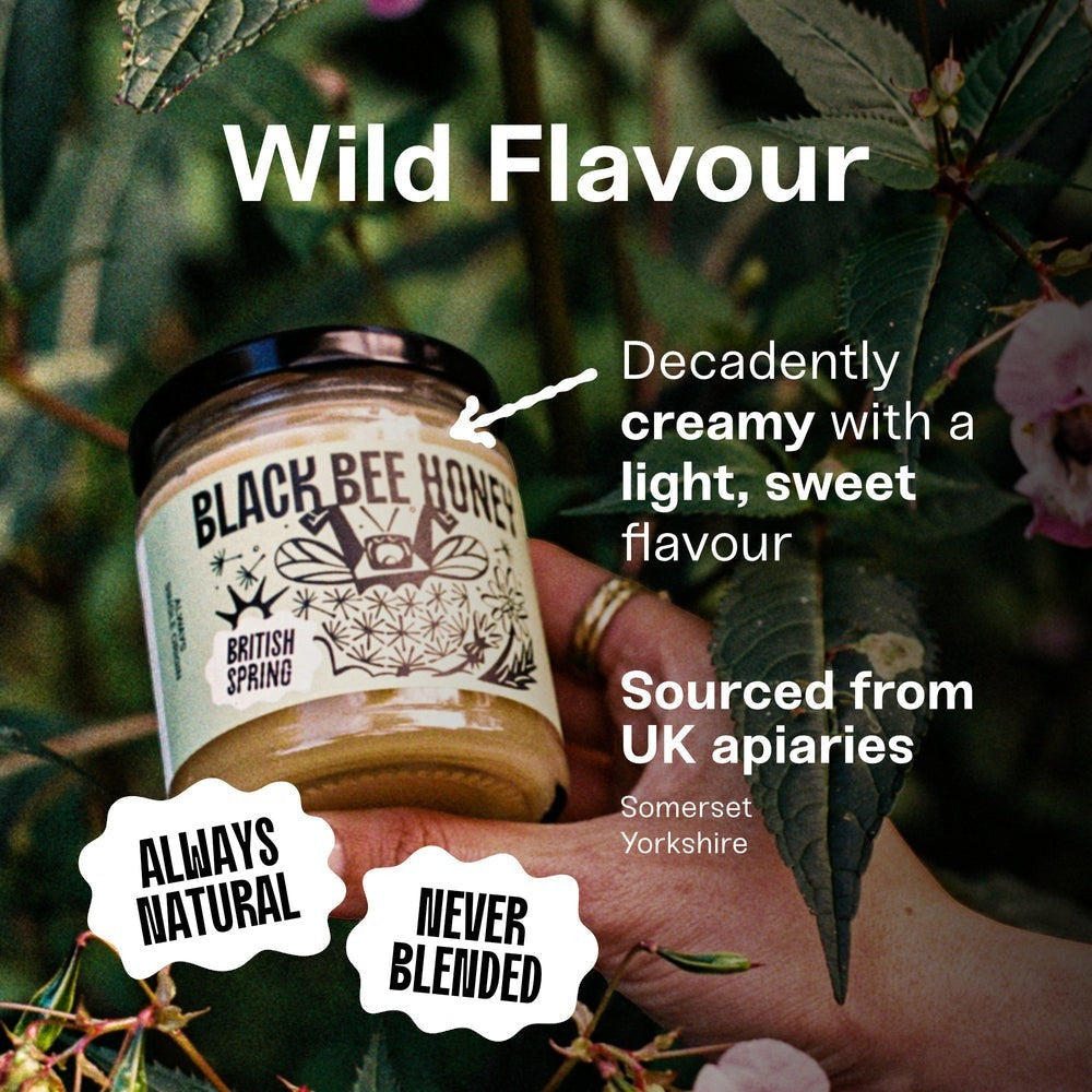 Black Bee Honey Spring honey jar held in hand, featuring creamy British wildflower honey from a single-origin UK apiary.