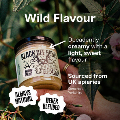 Black Bee Honey Spring honey jar held in hand, featuring creamy British wildflower honey from a single-origin UK apiary.