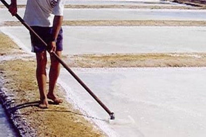 Steenbergs traditional sea salt being hand-harvested from salt pans in Portugal using a long-handled rake