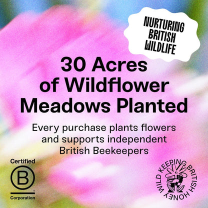 BRiMM graphic promoting wildflower meadow conservation and support for independent British beekeepers