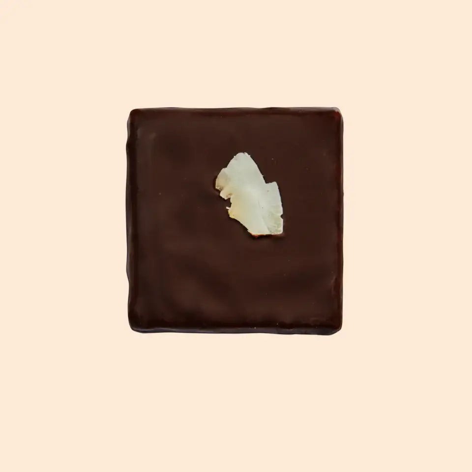 Cosmic Dealer dark chocolate square topped with a toasted coconut flake on a light background