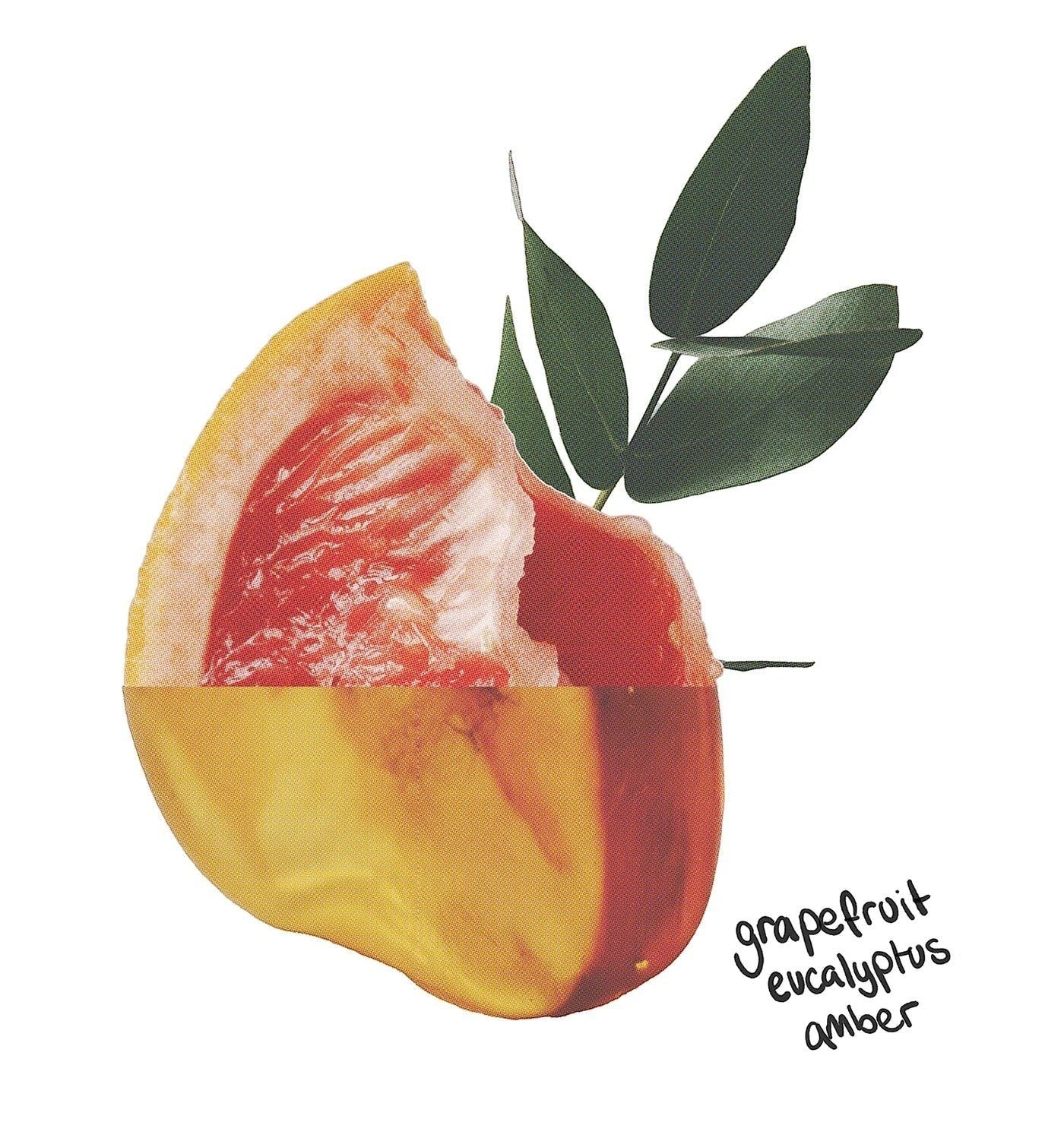 The Lab Co Energising Laundry Detergent Strips featuring a graphic illustration of grapefruit, eucalyptus, and amber.