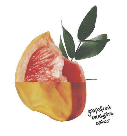 The Lab Co Energising Laundry Detergent Strips featuring a graphic illustration of grapefruit, eucalyptus, and amber.